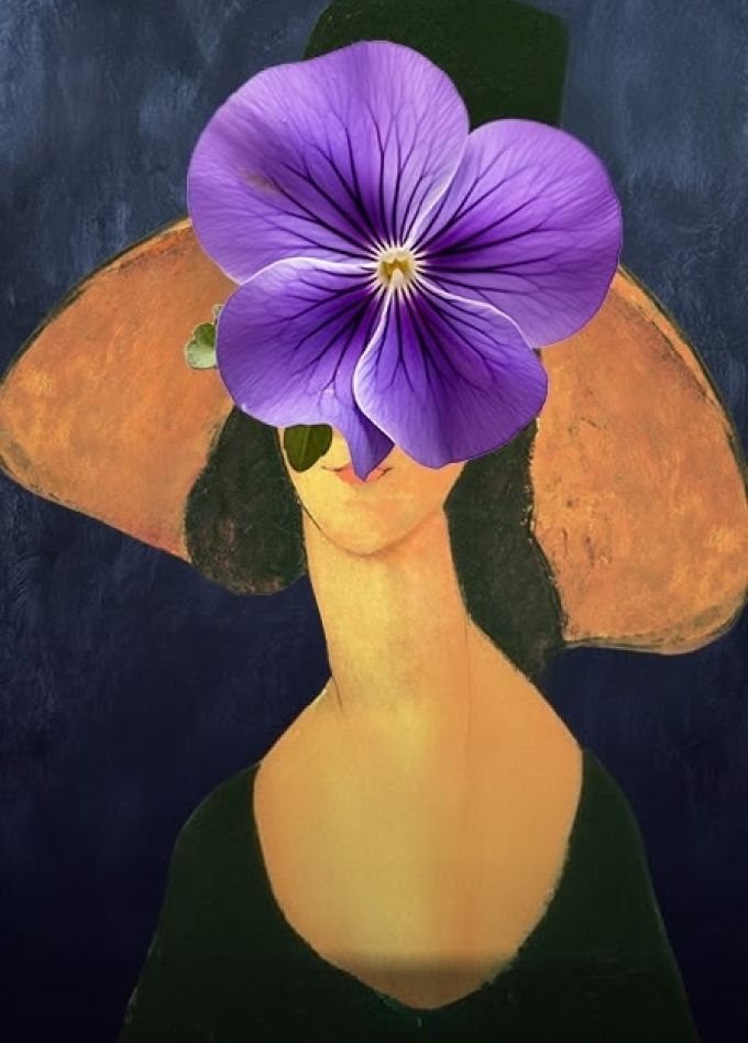 Фиалка Монмартра